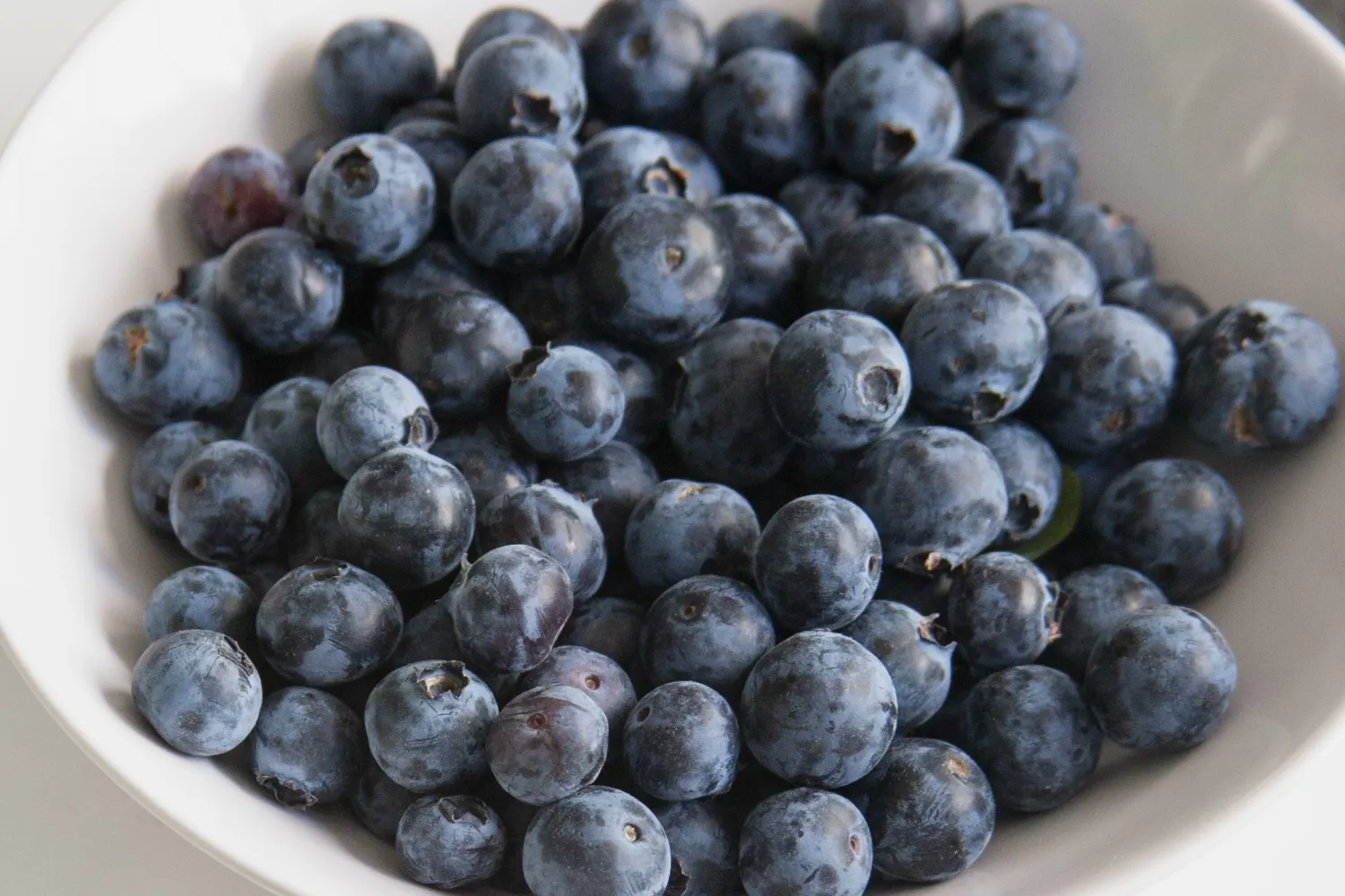 California Farmer Reveals Berry Storage Secret