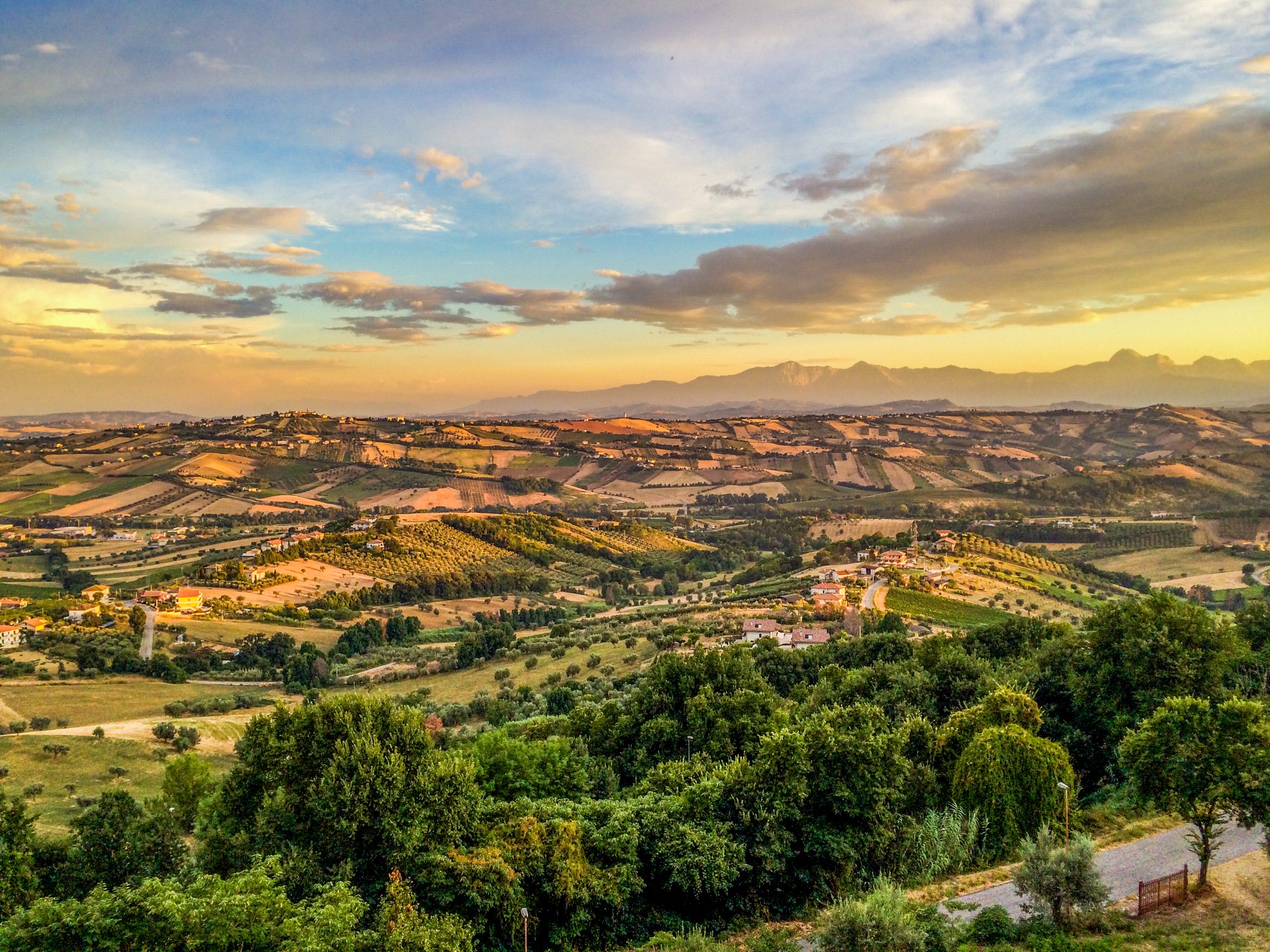 First Album Inspired by Vini d’Abruzzo Production Launches Online