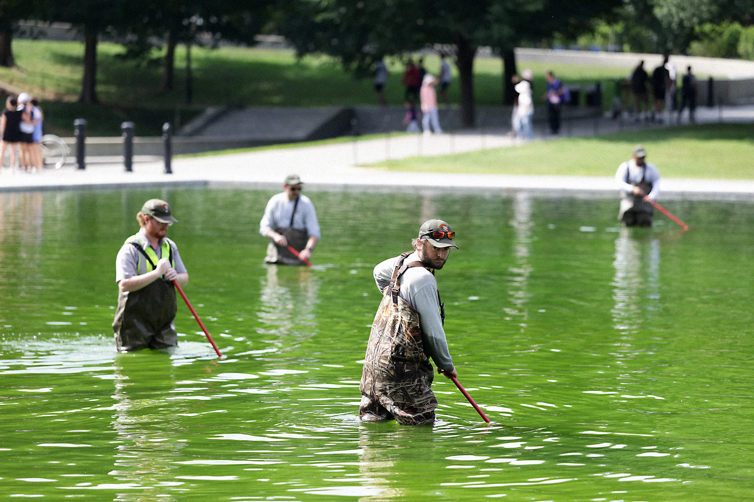 National Park Service Battles Algae Bloom at Reflecting Pool