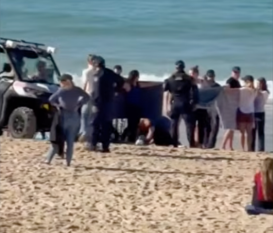 Woman Critically Injured in Shark Attack at Sydney's Coogee Beach